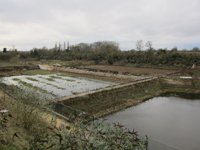 Why is it called Seething Wells? Unveiling the History of Surbiton’s Waterworks